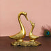 Loving Golden Swan Couple