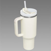 Stainless Steel Vacuum Insulated Tumbler
